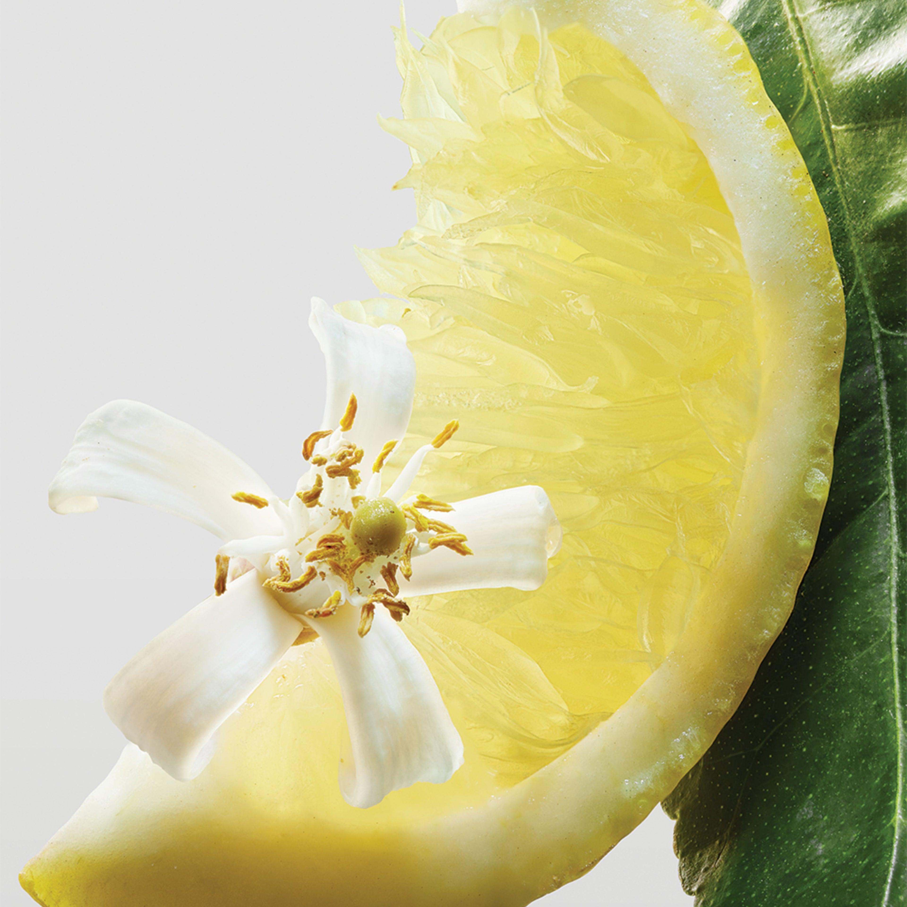 CITRIC EAU DE PARFUM